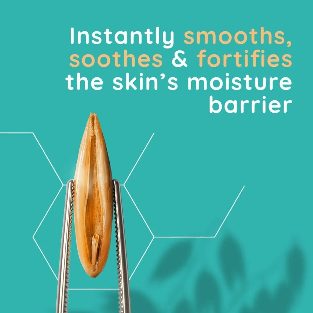 Aveeno Face Calm and Restore Morning Nourish Routine