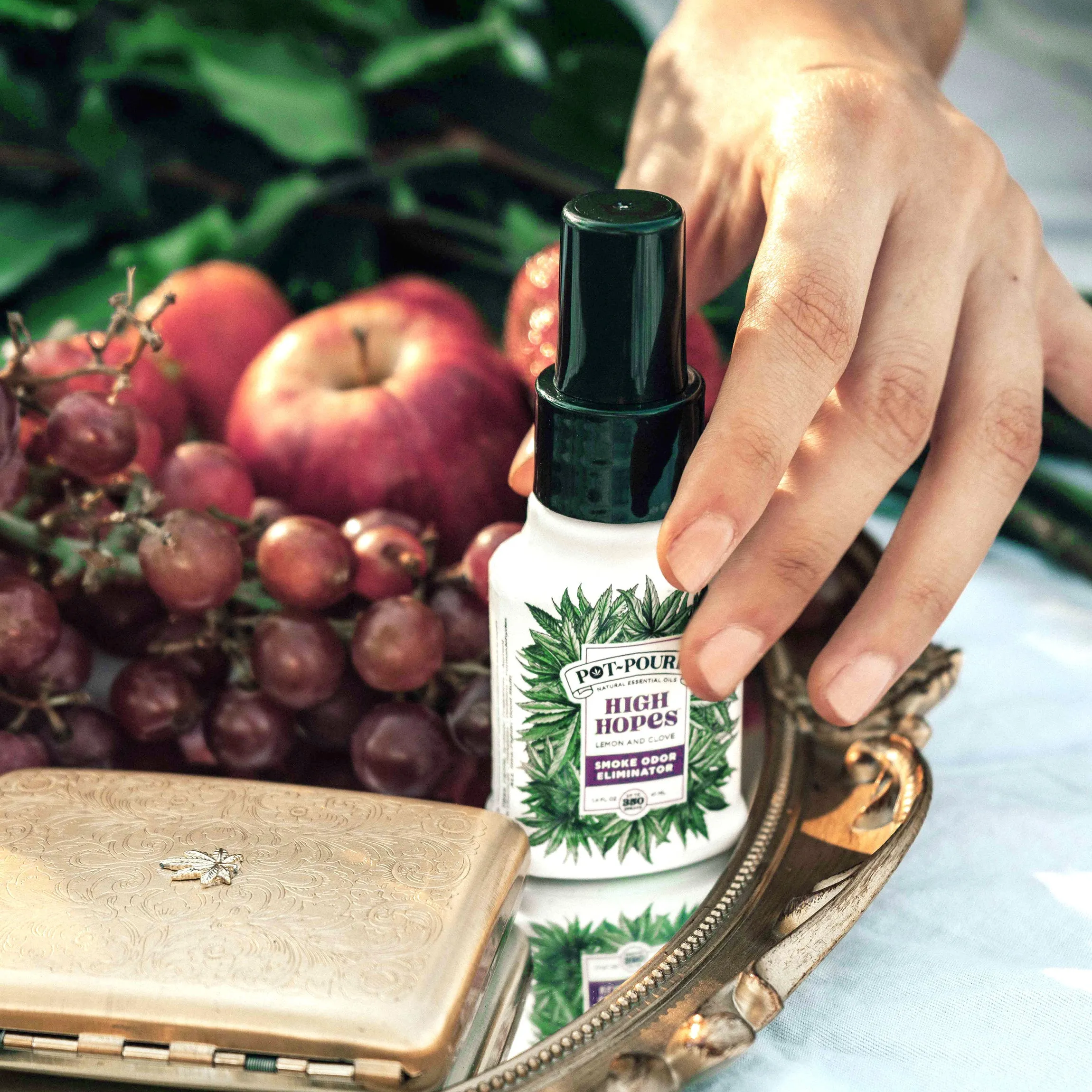 Pot-Pourri High Hopes Lemon & Clove Spray
