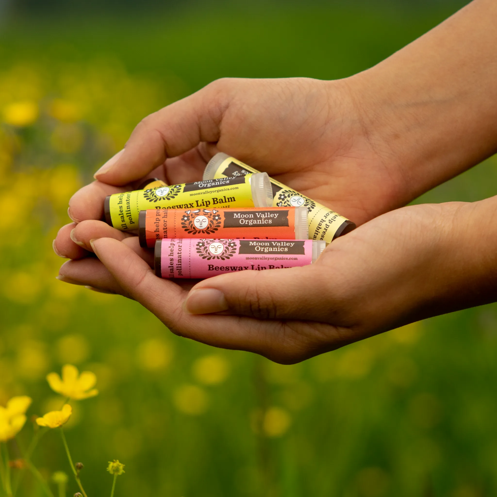 Sweet Honey Beeswax Lip Balm