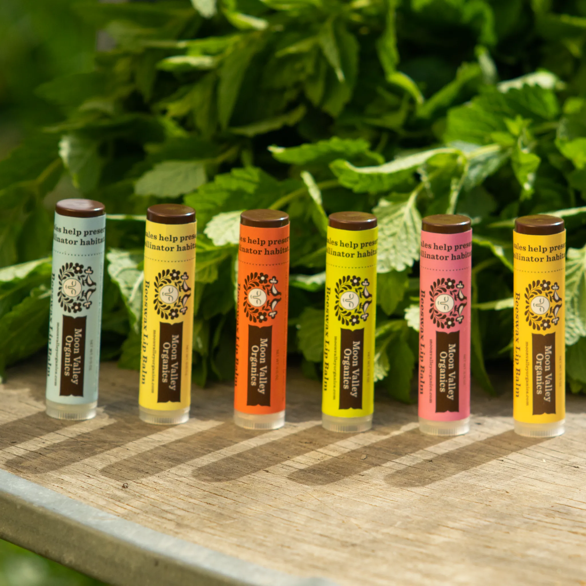 Sweet Honey Beeswax Lip Balm